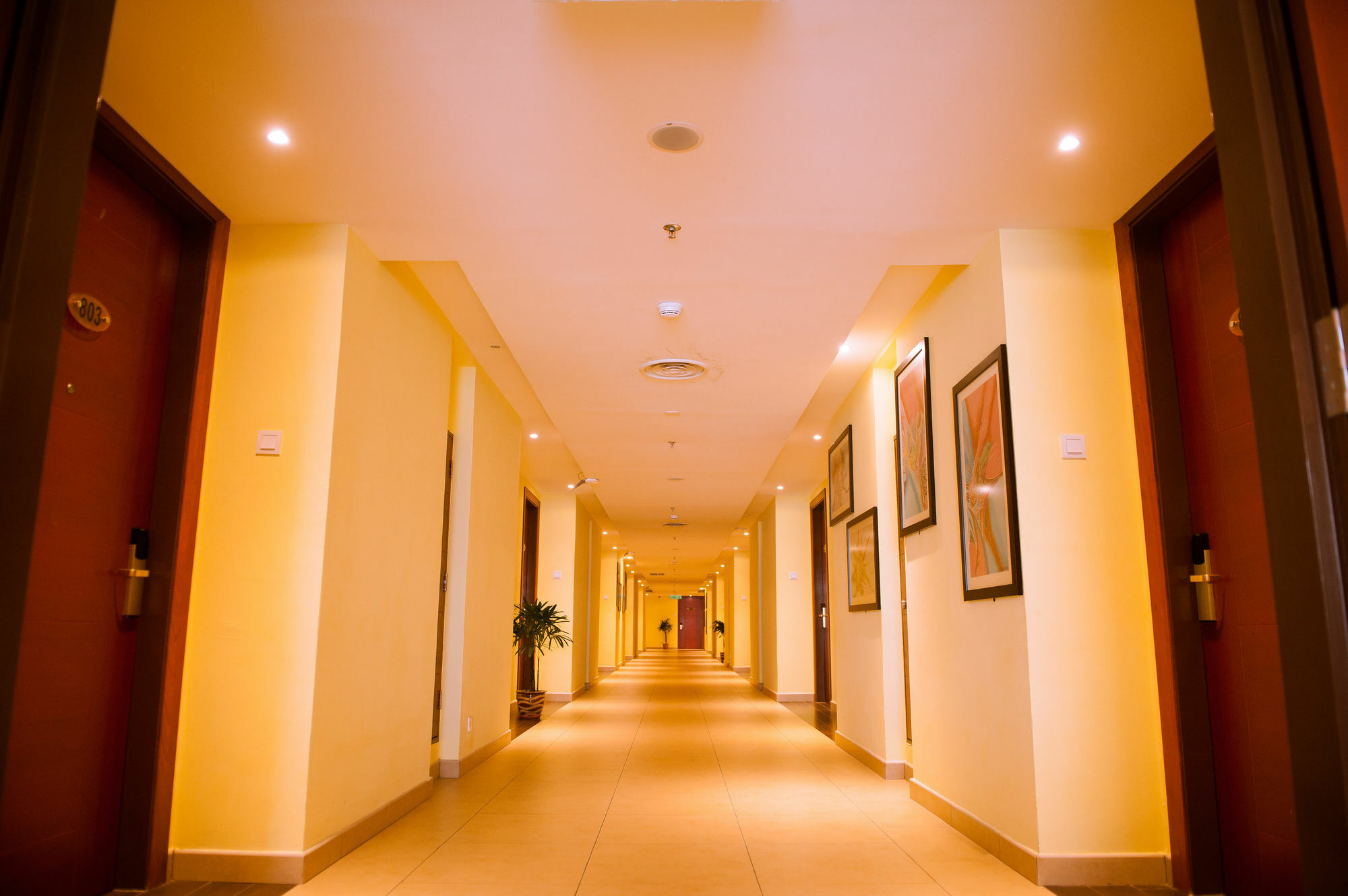 Hotel Palm 4*